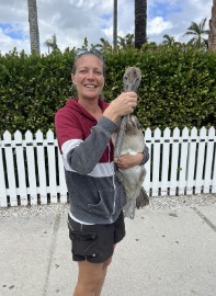 Captain Lauren Malinowski holding a large gray bird beside a white picket fence