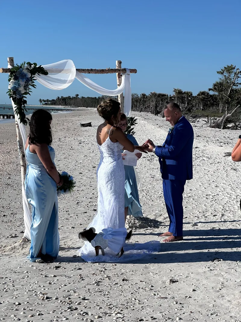 A ring exchange at a draped driftwood arch on the beach, the couple's small dog in a white dress at the bride's train