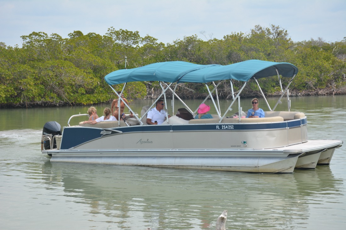 One of our shaded pontoon tour boats cruising a mangrove-lined backwater near Naples, Florida