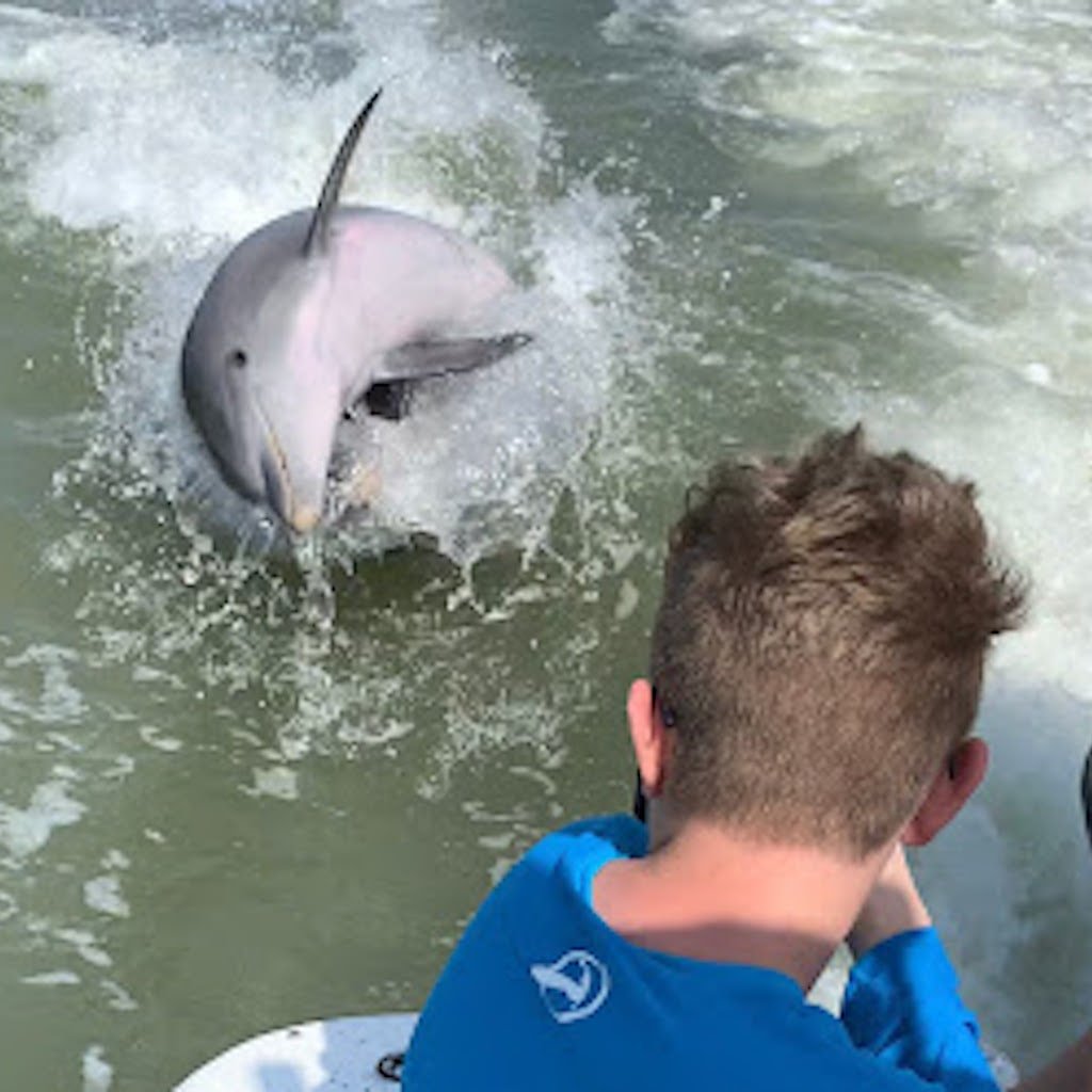 A young guest watching a wild bottlenose dolphin surface in the boat&rsquo;s wake near Naples, Florida