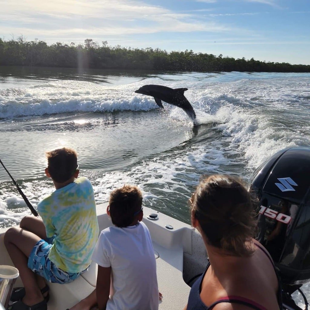 A wild bottlenose dolphin leaping in the wake behind a boat while guests watch from the stern near Naples, Florida