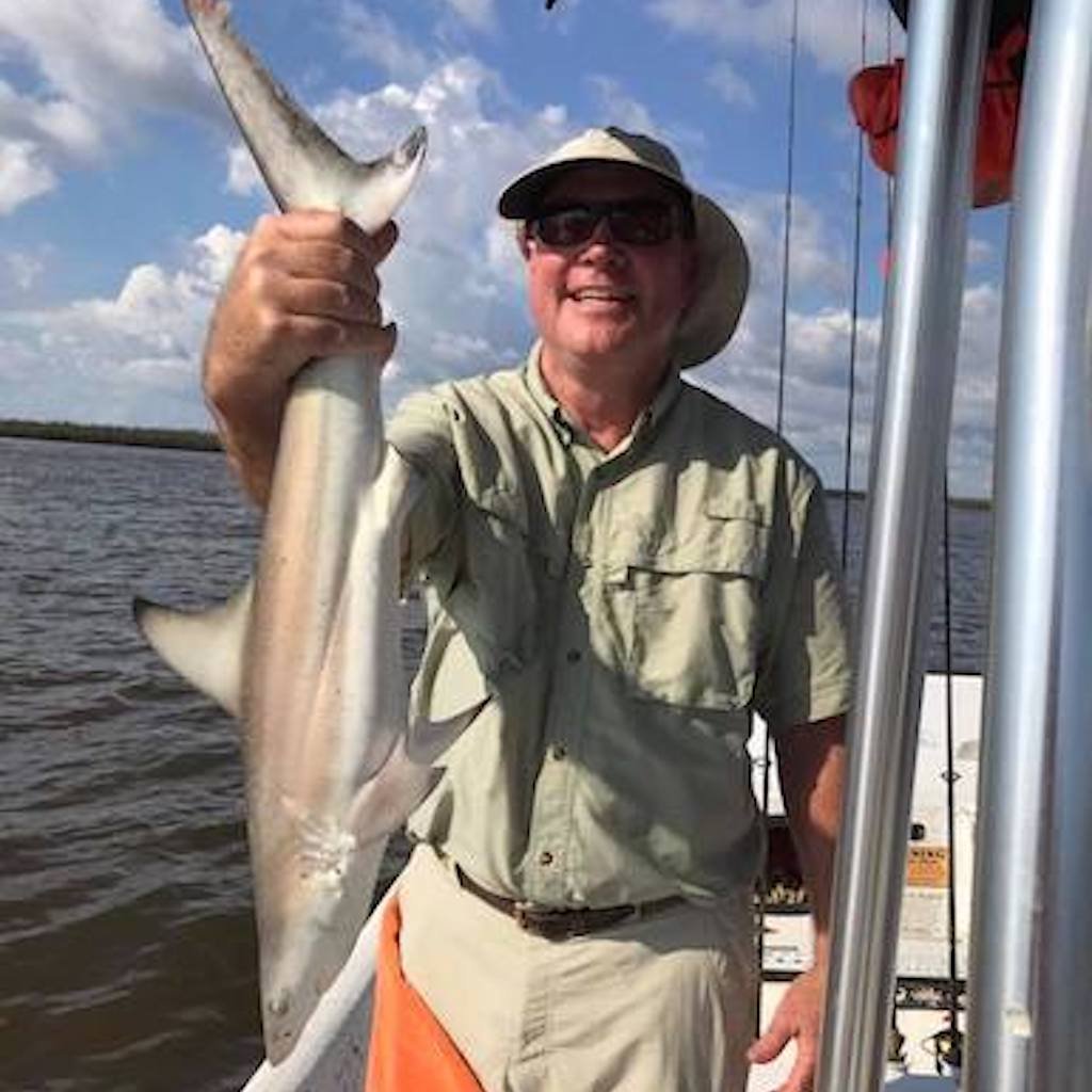 A blacktip shark with black-tipped fins jumping near the Naples, Florida flats