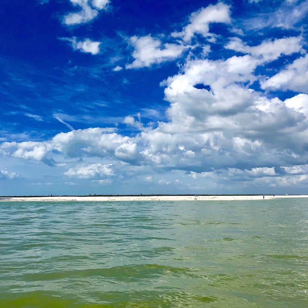 A pristine Ten Thousand Islands beach piled with shells on a Sand Dollar shell-island tour