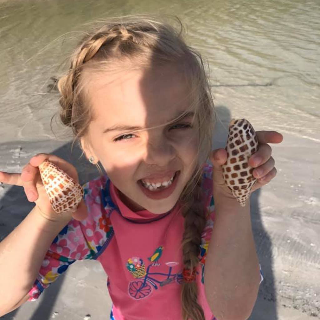 A prized junonia and other rare shells found on a Sand Dollar shelling adventure