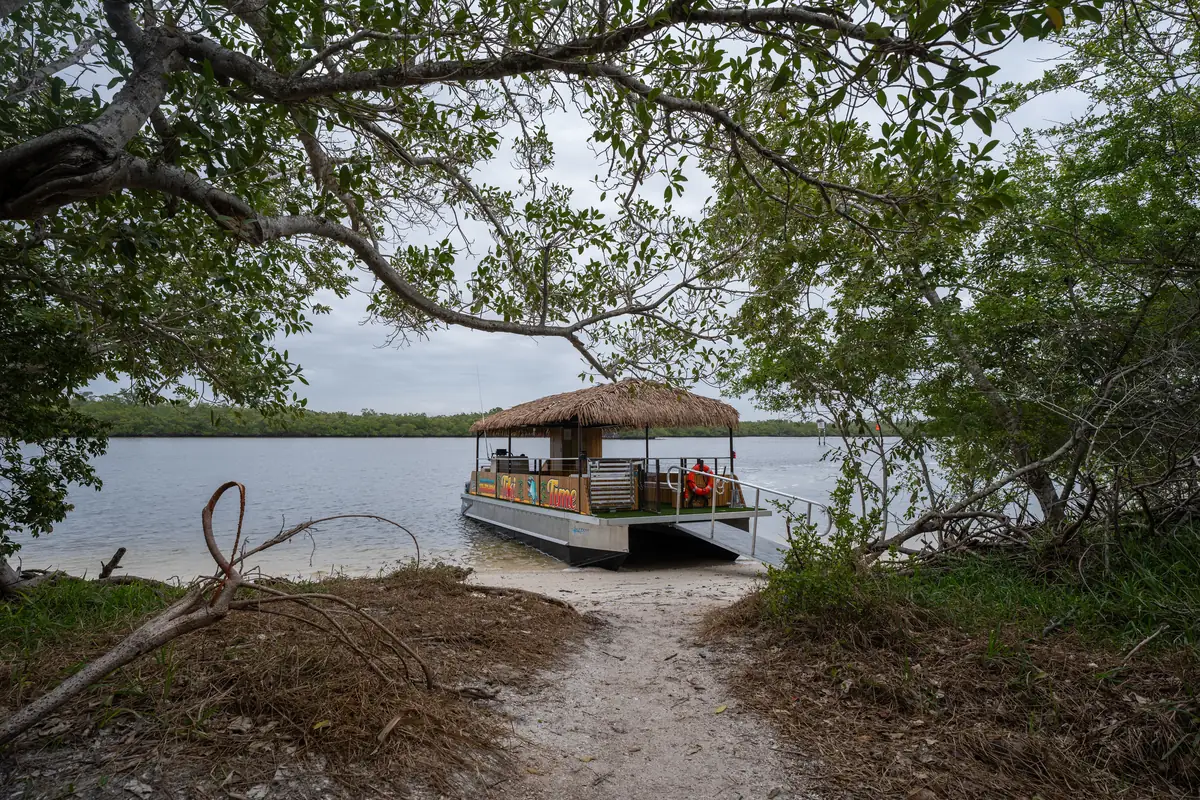 The Tiki Time boat beached in a quiet mangrove cove, framed by the sandy island path and tree canopy
